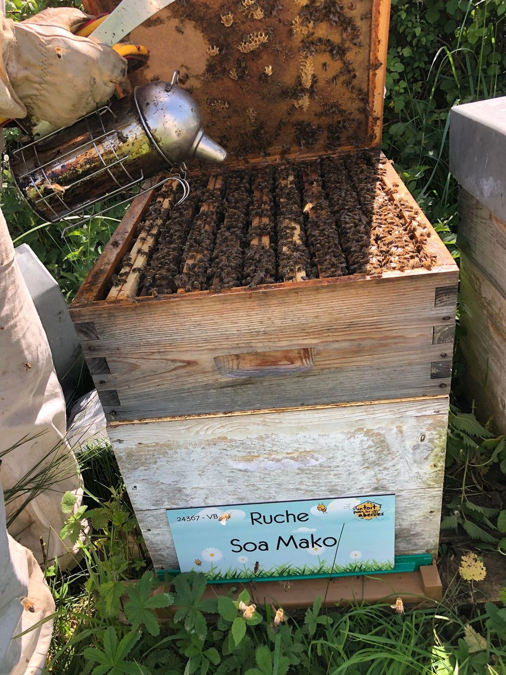 La ruche Soa Mako