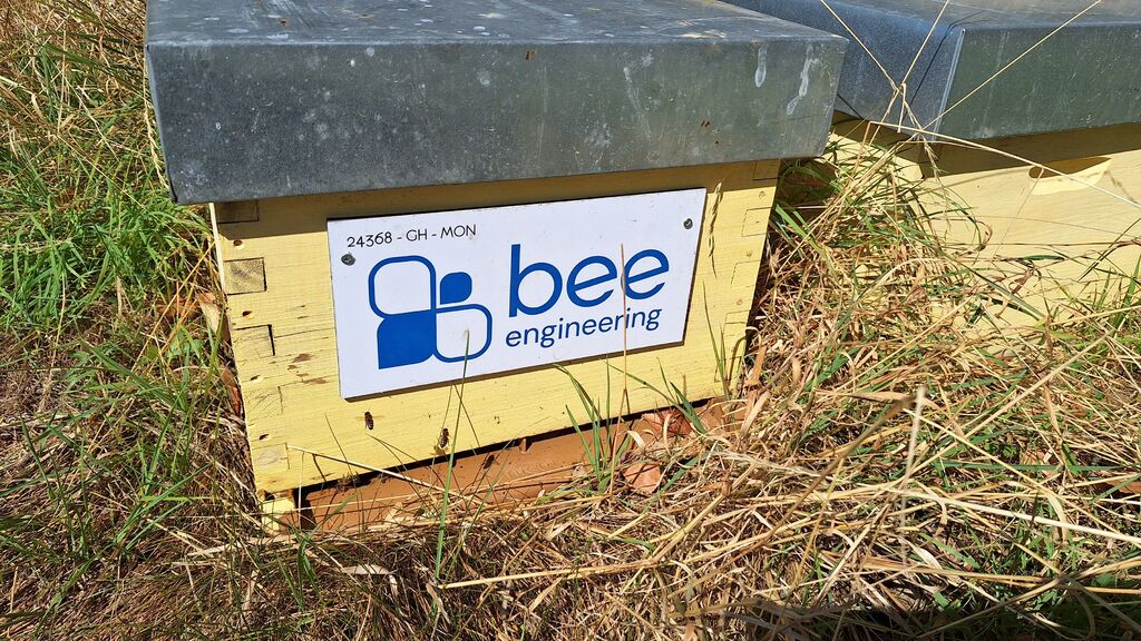 La ruche Bee engineering