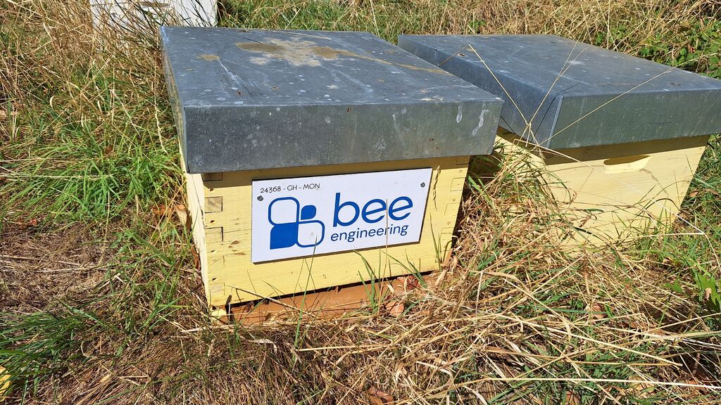La ruche Bee engineering