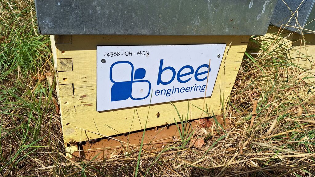 La ruche Bee engineering