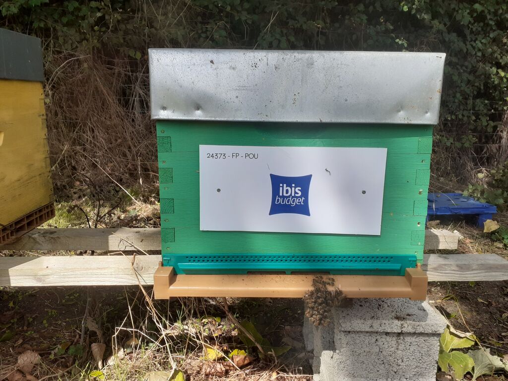 La ruche Ibis Budget BAYEUX