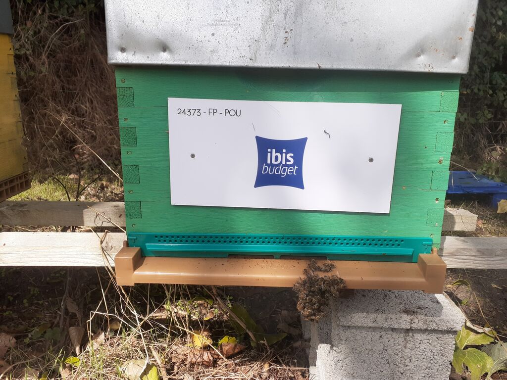 La ruche Ibis Budget BAYEUX