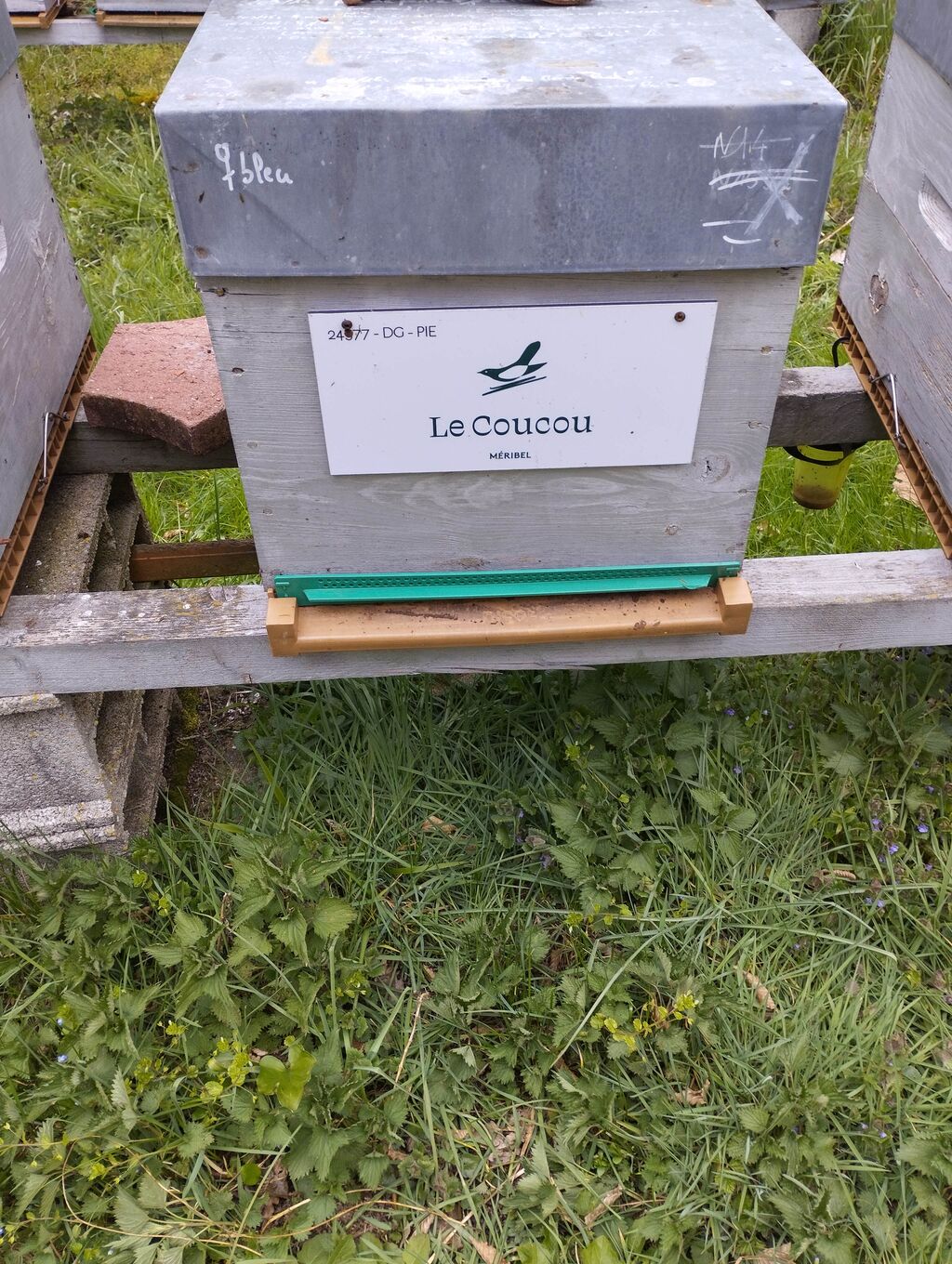 La ruche LE COUCOU MERIBEL