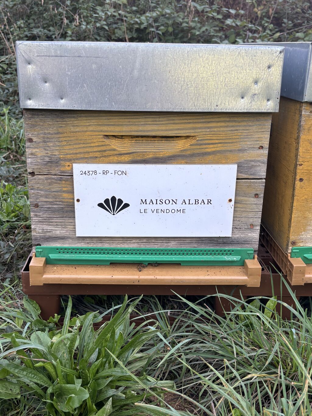 La ruche Maison albar - le vendome