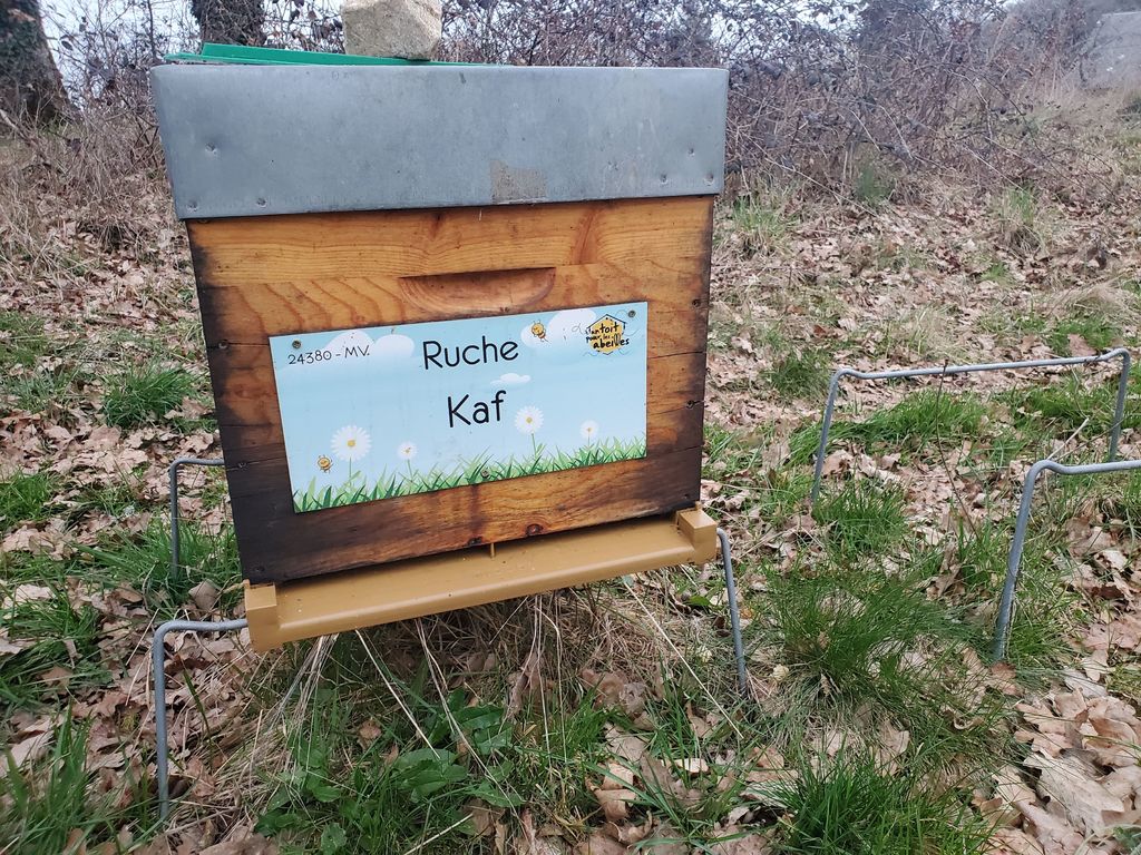 La ruche Kaf