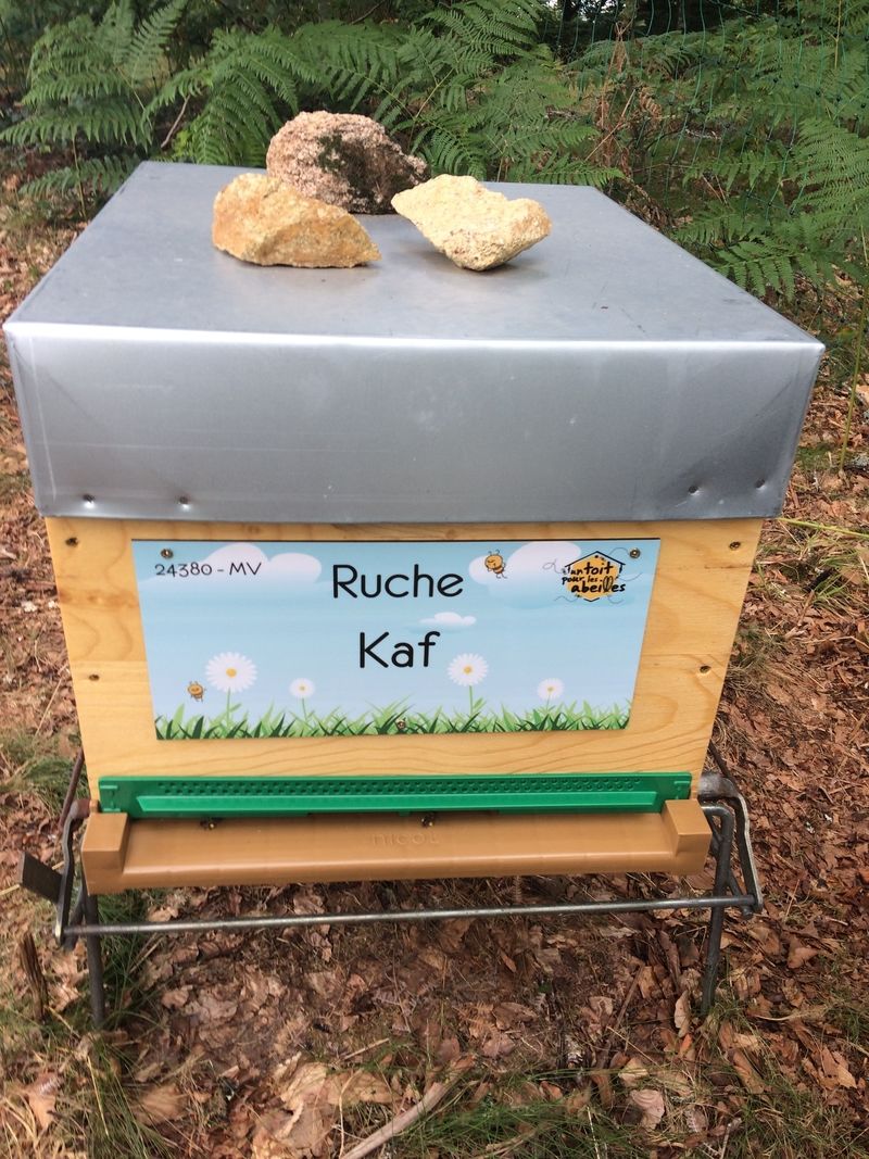 La ruche Kaf