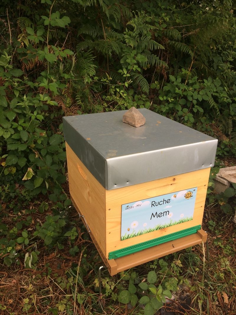 La ruche Mem