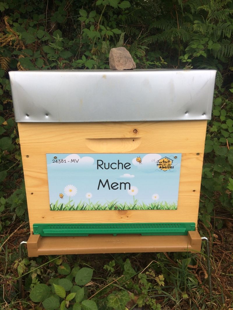 La ruche