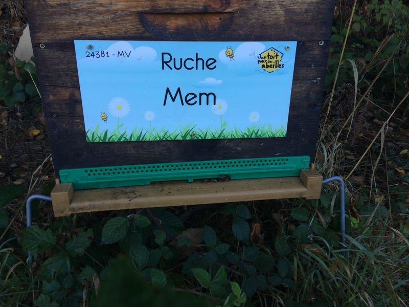 La ruche Mem
