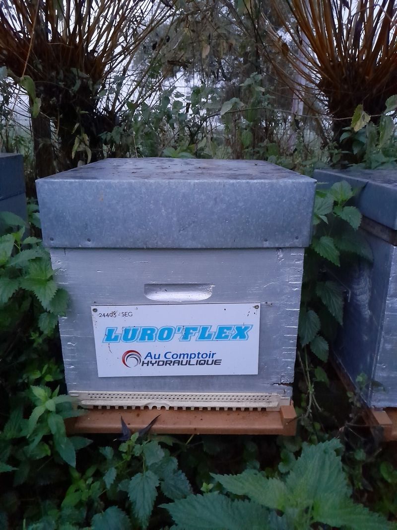 La ruche Luroflex - au comptoir hydraulique