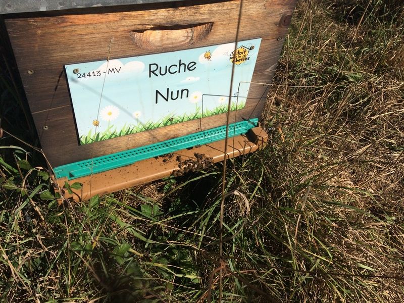 La ruche Nun
