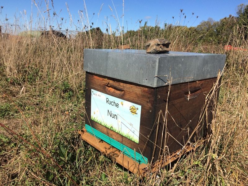 La ruche Nun