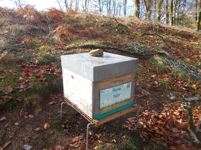 La ruche Nun