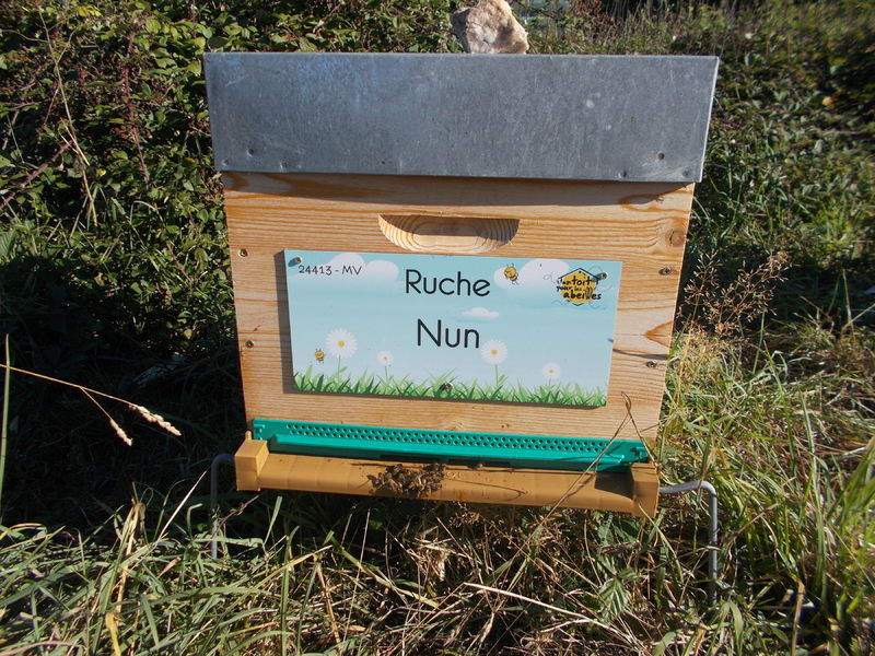 La ruche Nun