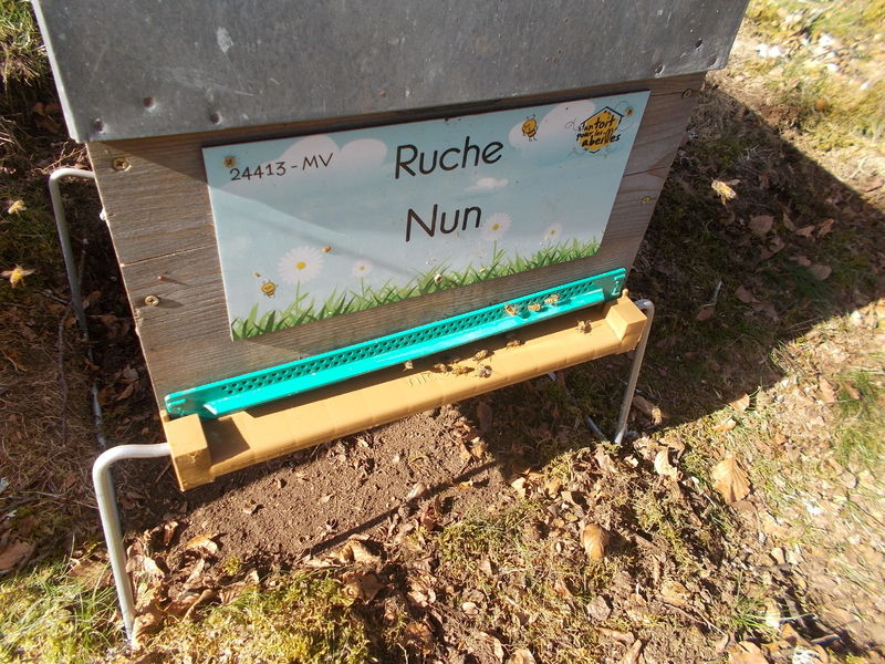La ruche
