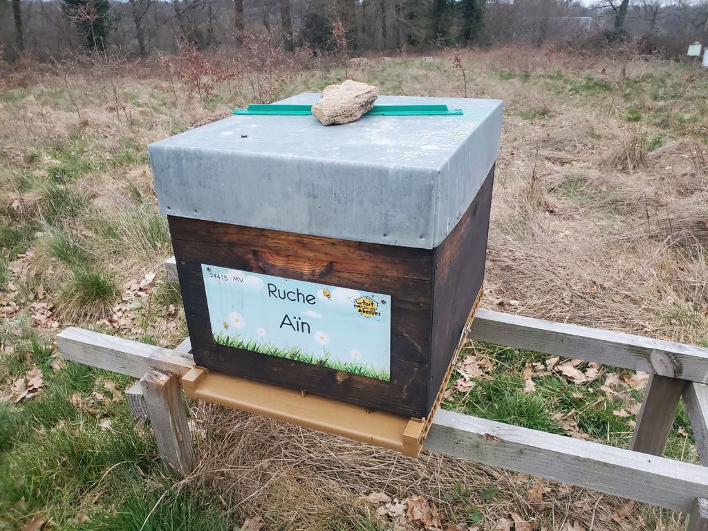 La ruche Aïn