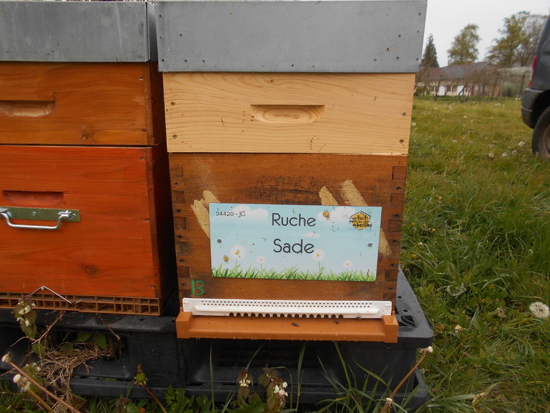 La ruche Sade