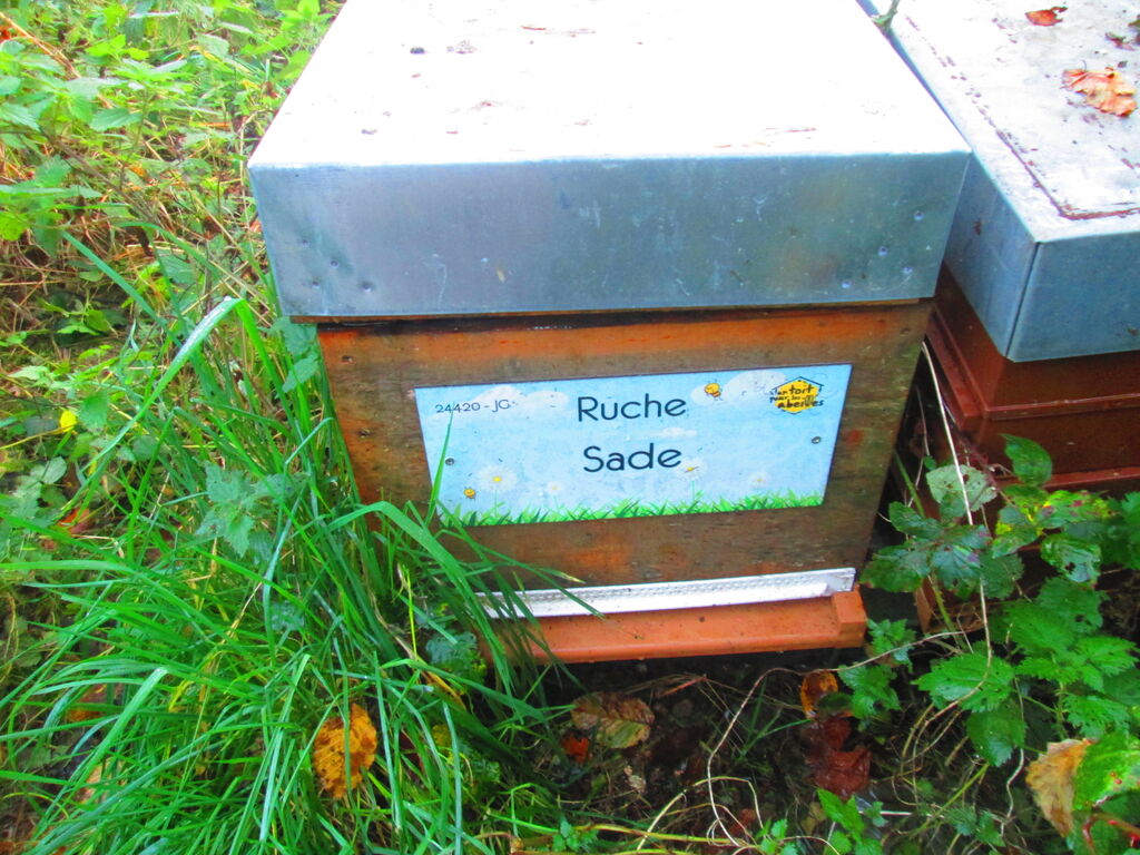 La ruche Sade
