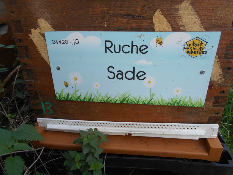 La ruche Sade