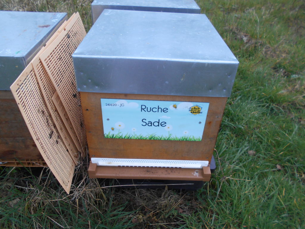 La ruche Sade