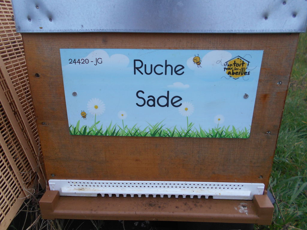 La ruche Sade