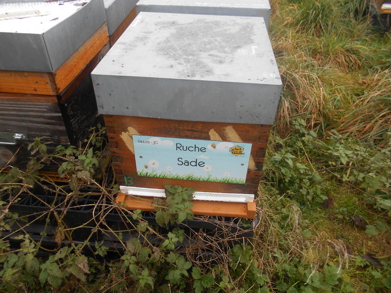 La ruche Sade