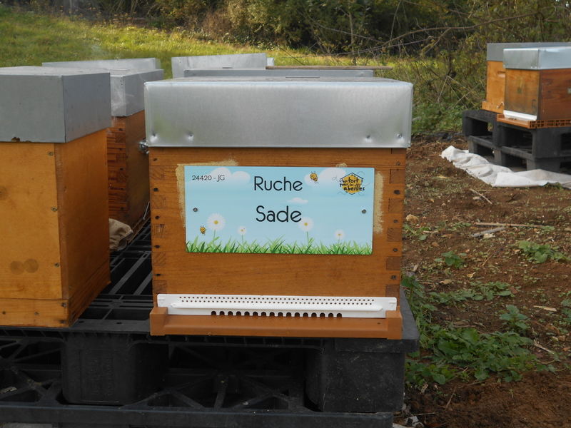 La ruche Sade