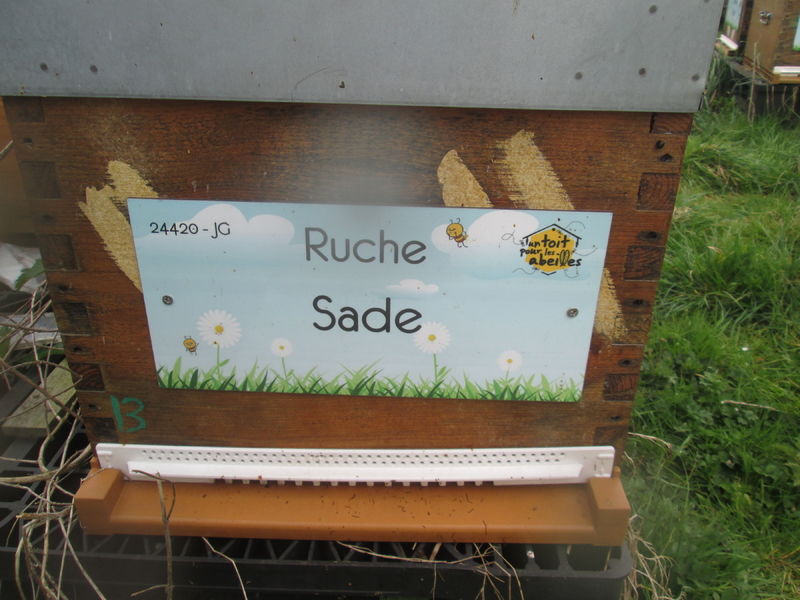 La ruche Sade