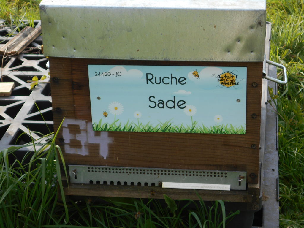 La ruche Sade