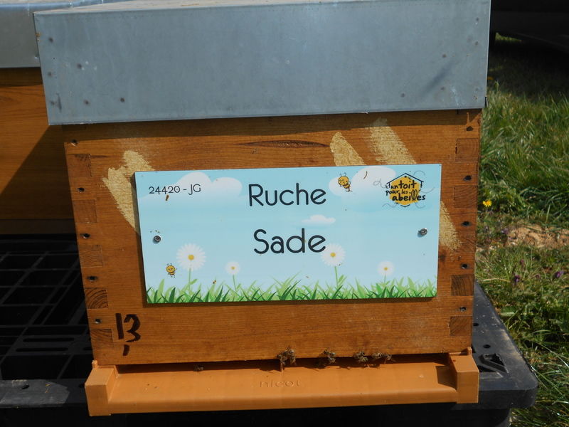 La ruche Sade