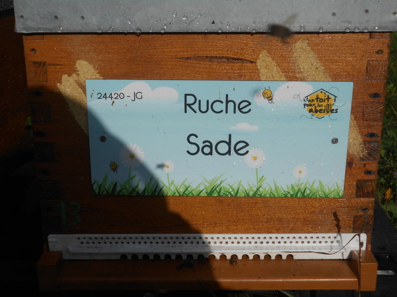 La ruche Sade