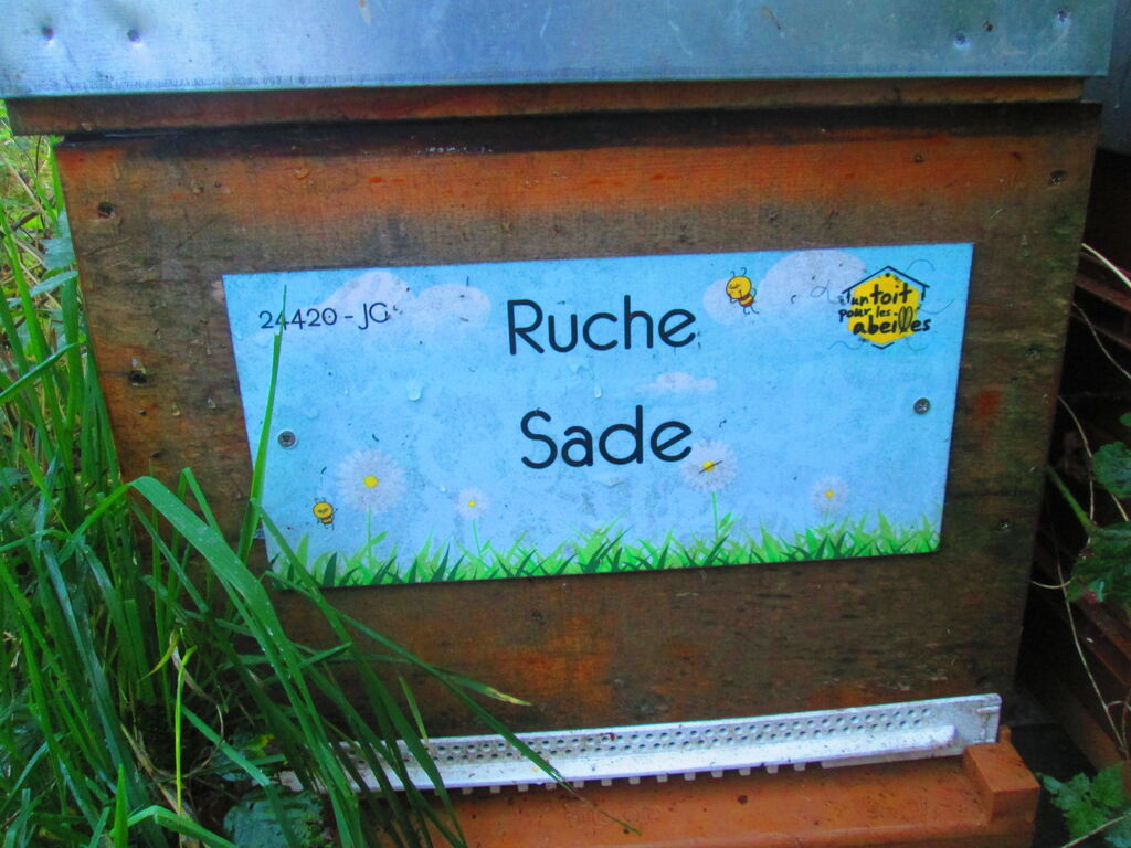 La ruche Sade