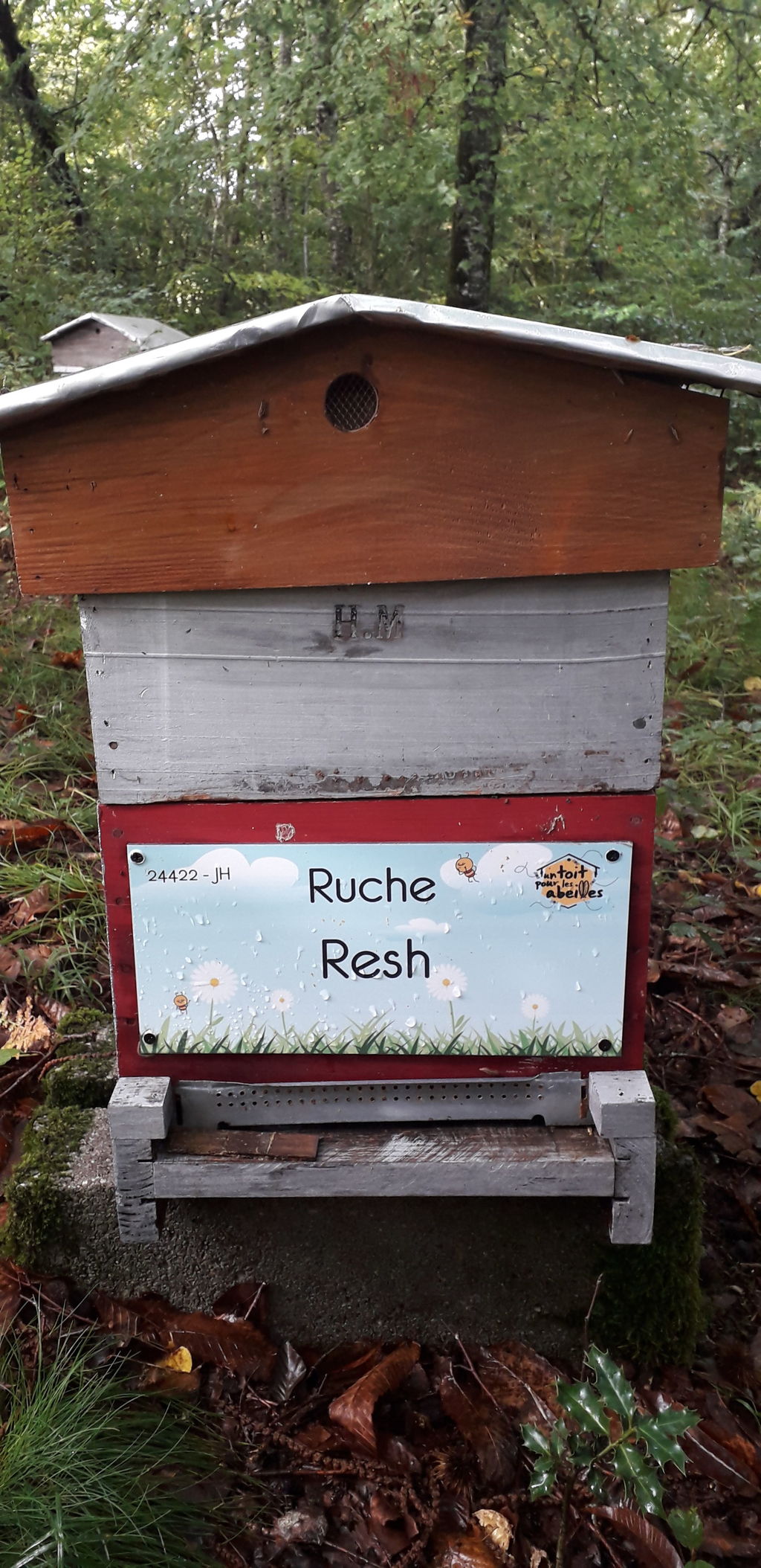 La ruche Resh