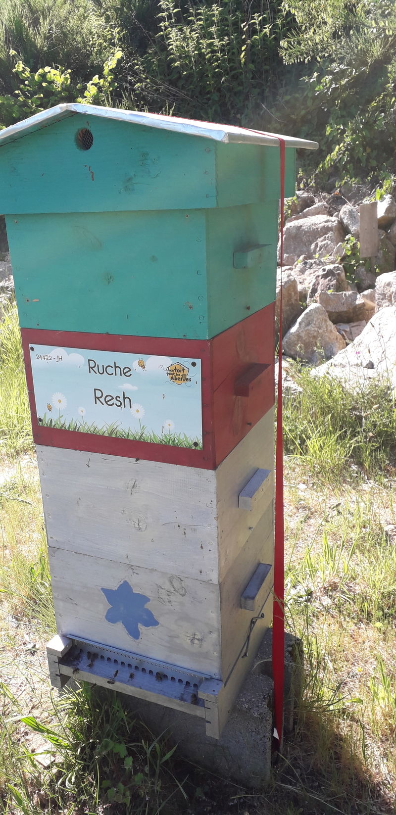 La ruche Resh