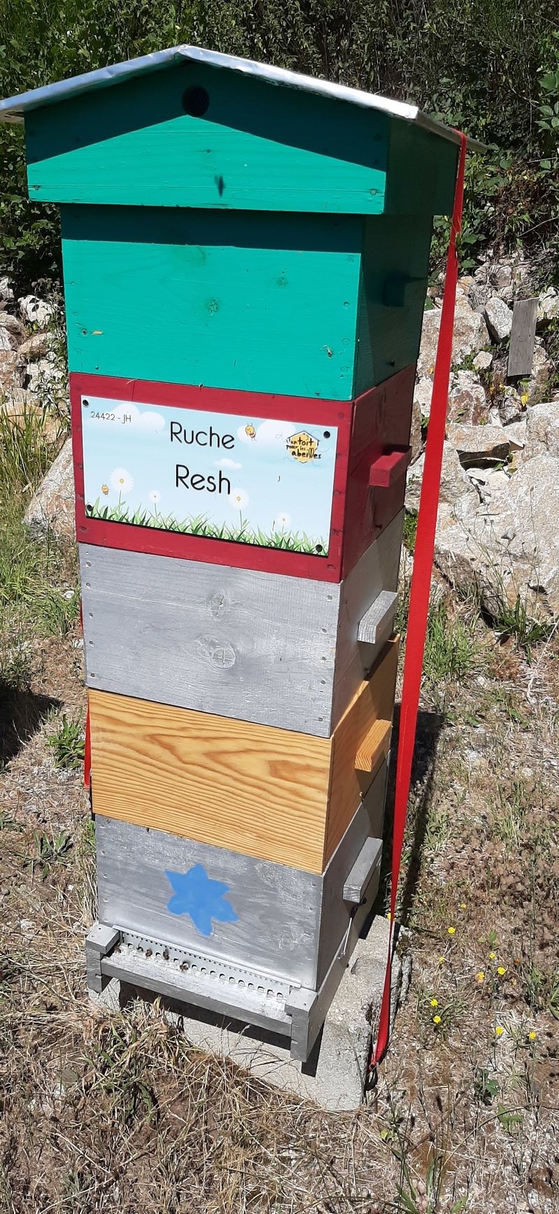 La ruche Resh