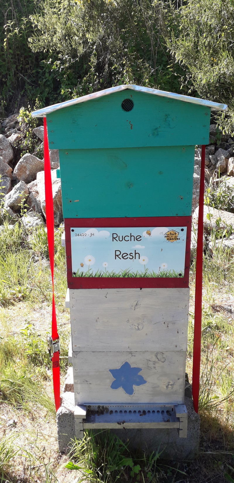 La ruche Resh