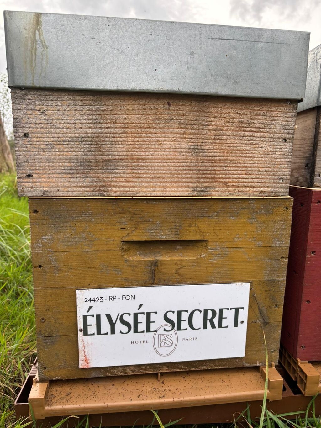 La ruche ELYSEE SECRET