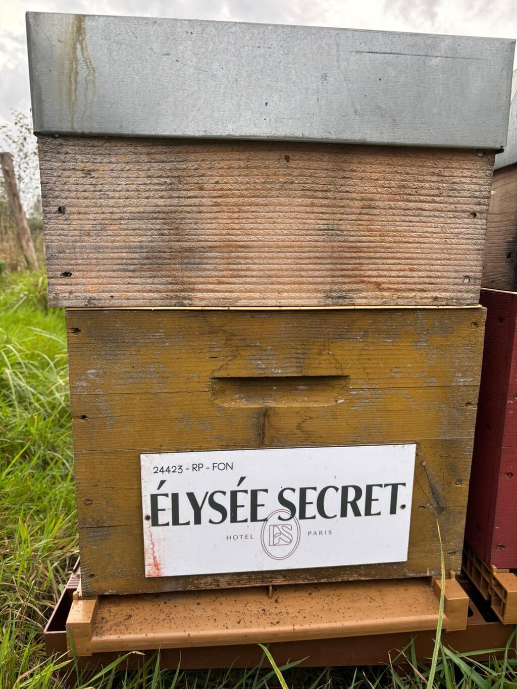 La ruche ELYSEE SECRET