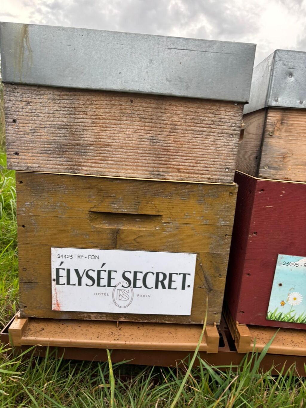 La ruche ELYSEE SECRET