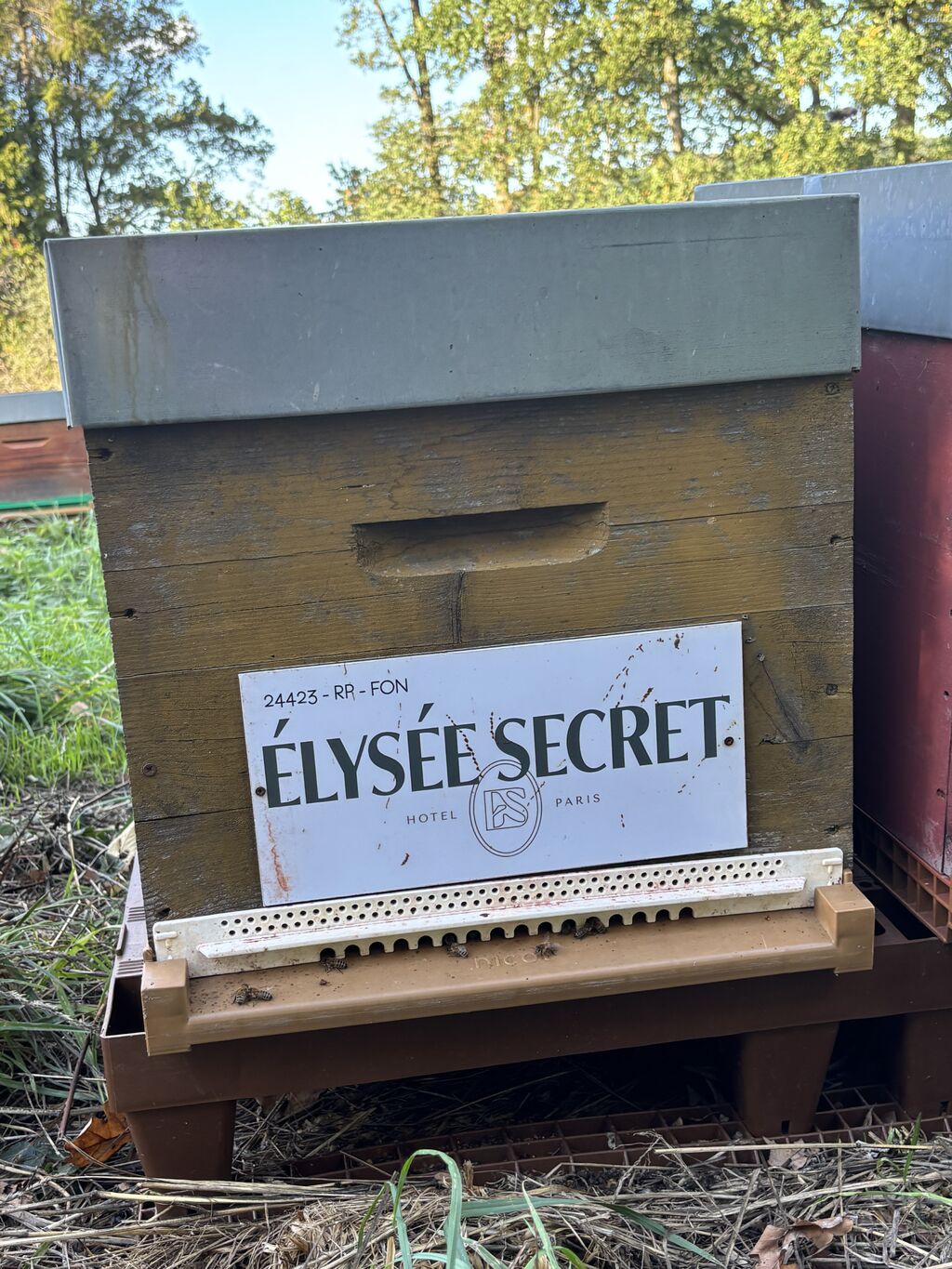 La ruche ELYSEE SECRET