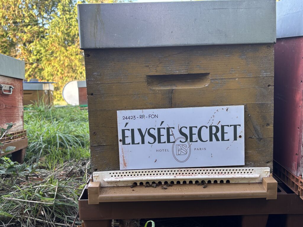 La ruche ELYSEE SECRET