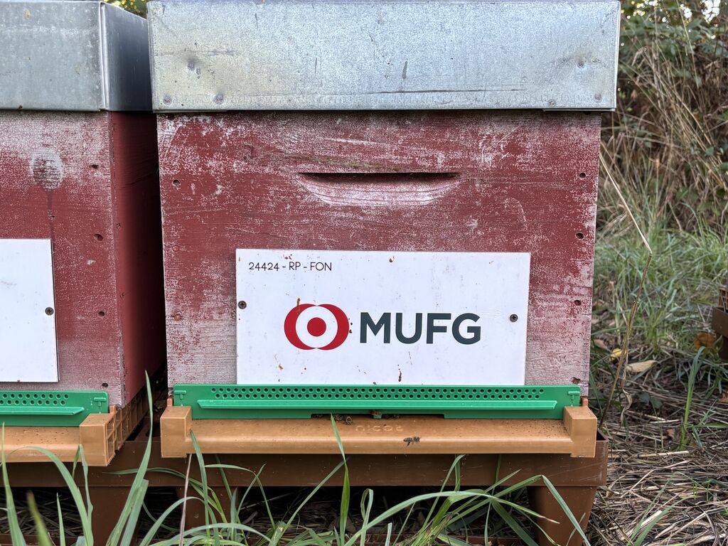 La ruche MUFG Paris