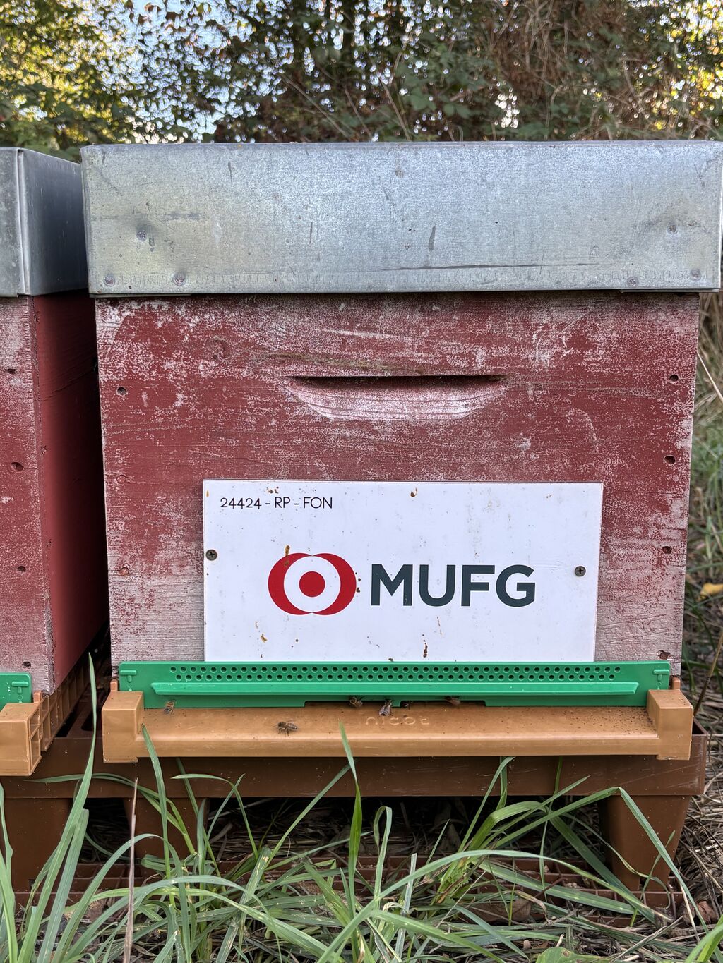 La ruche MUFG Paris