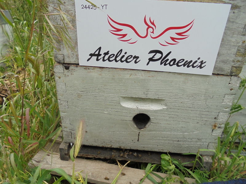 La ruche ATELIER PHOENIX