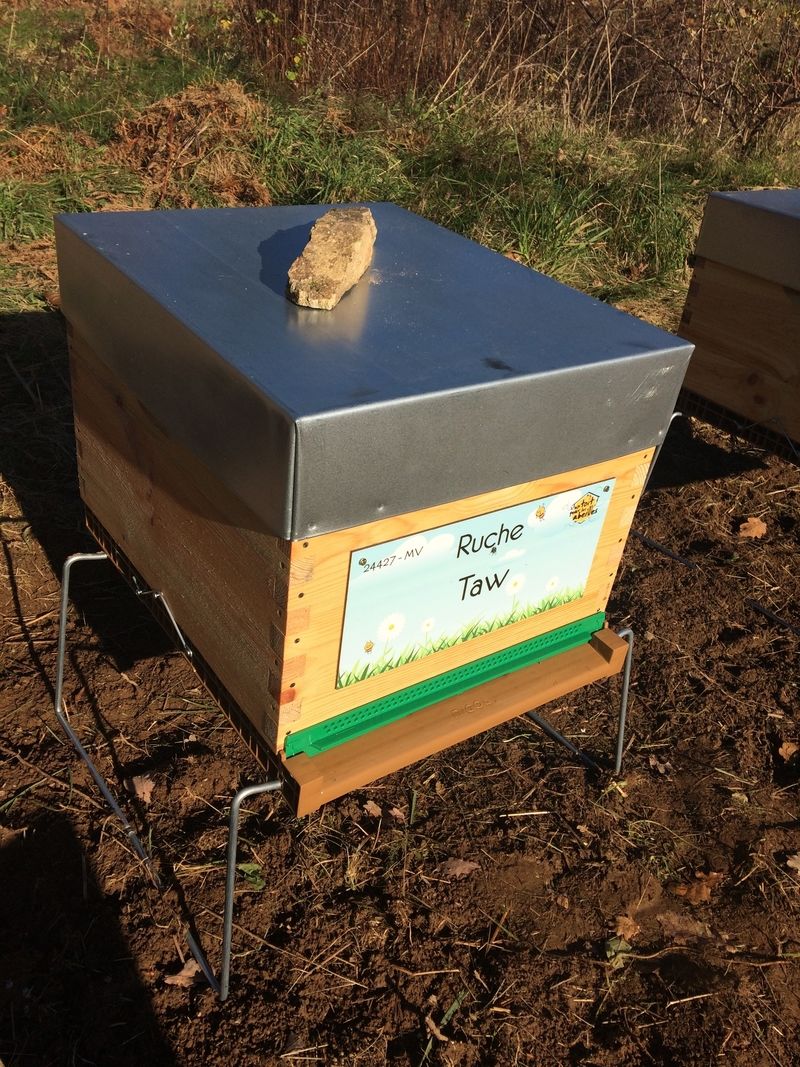 La ruche Taw
