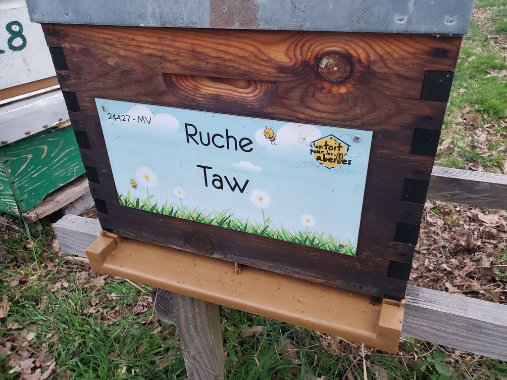 La ruche Taw