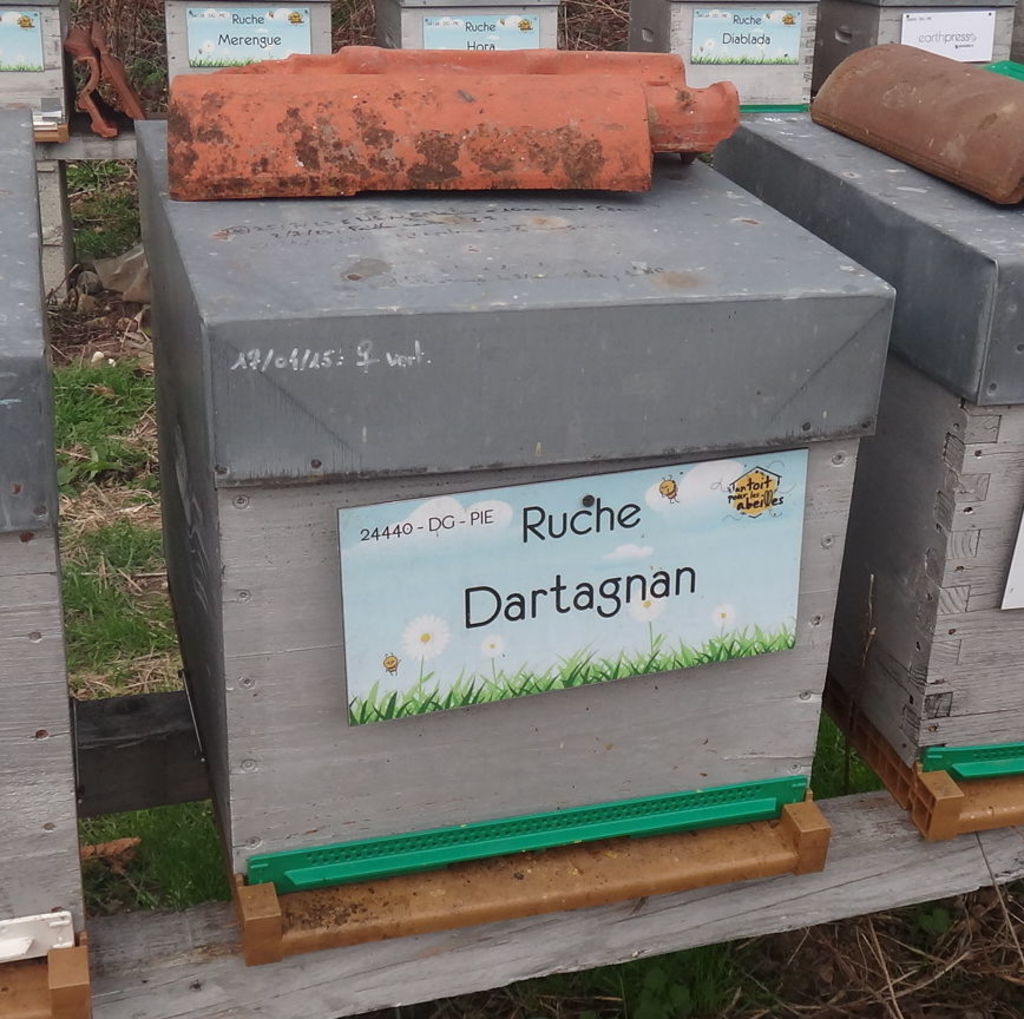 La ruche Dartagnan
