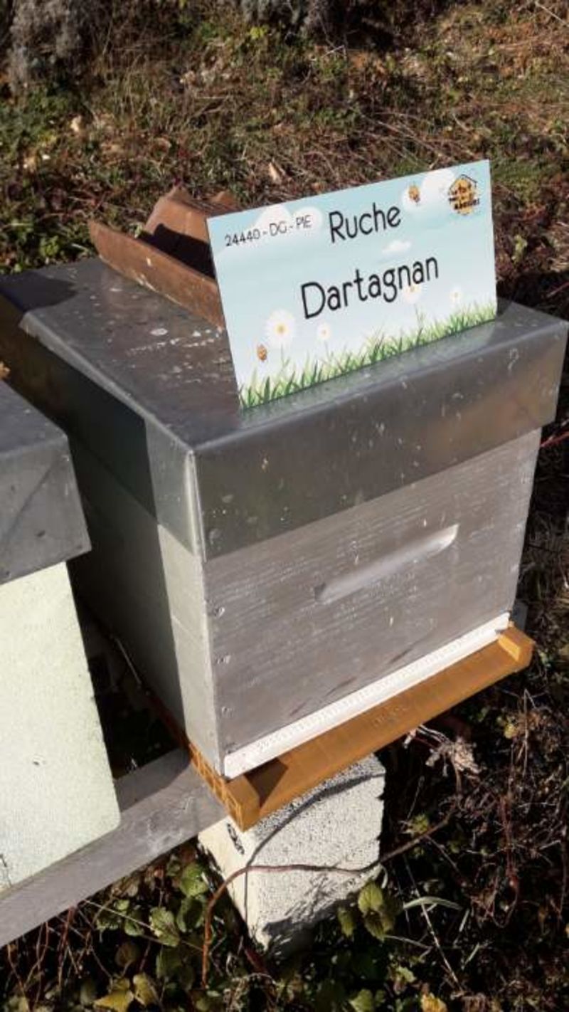 La ruche Dartagnan