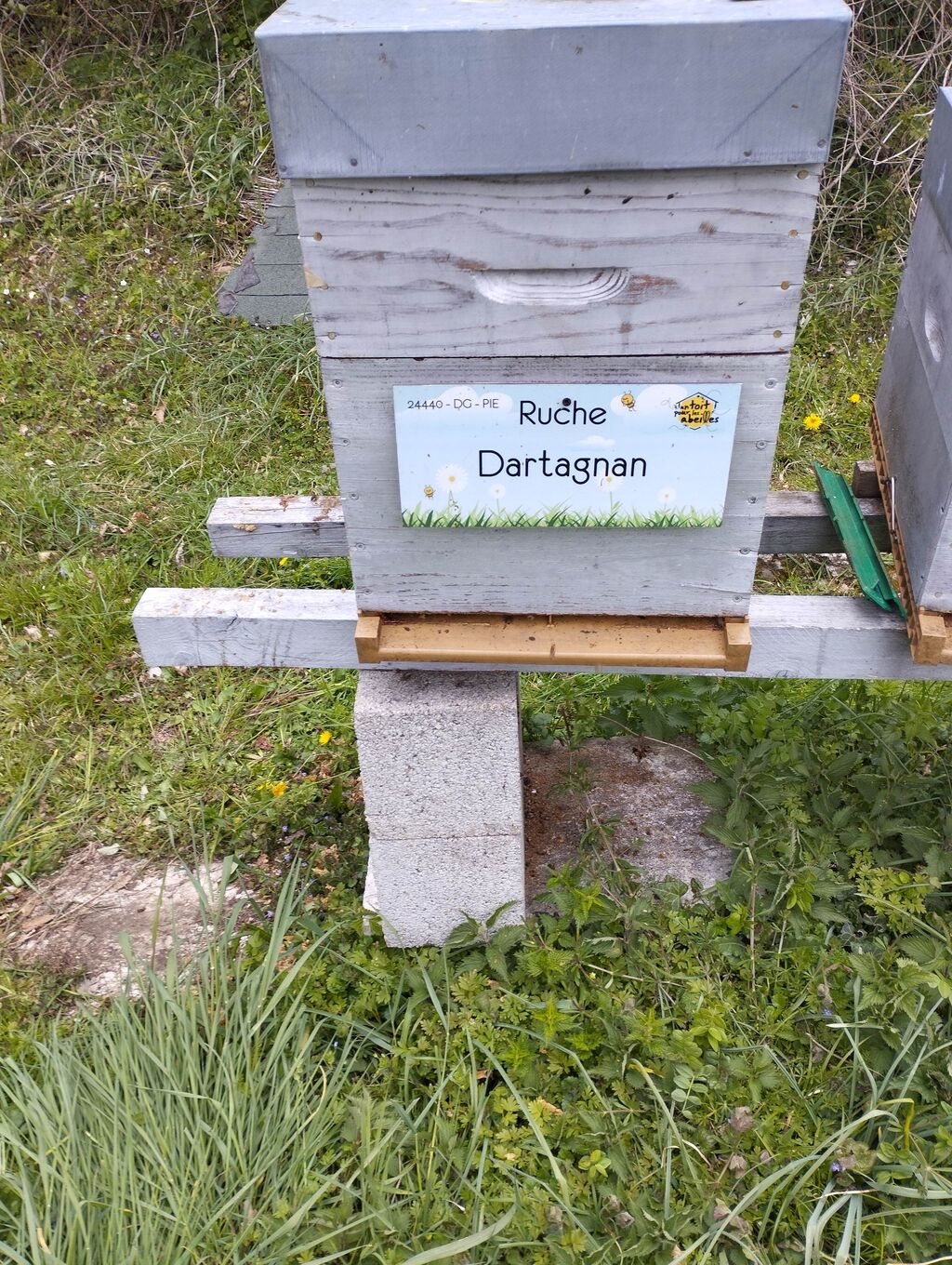 La ruche Dartagnan