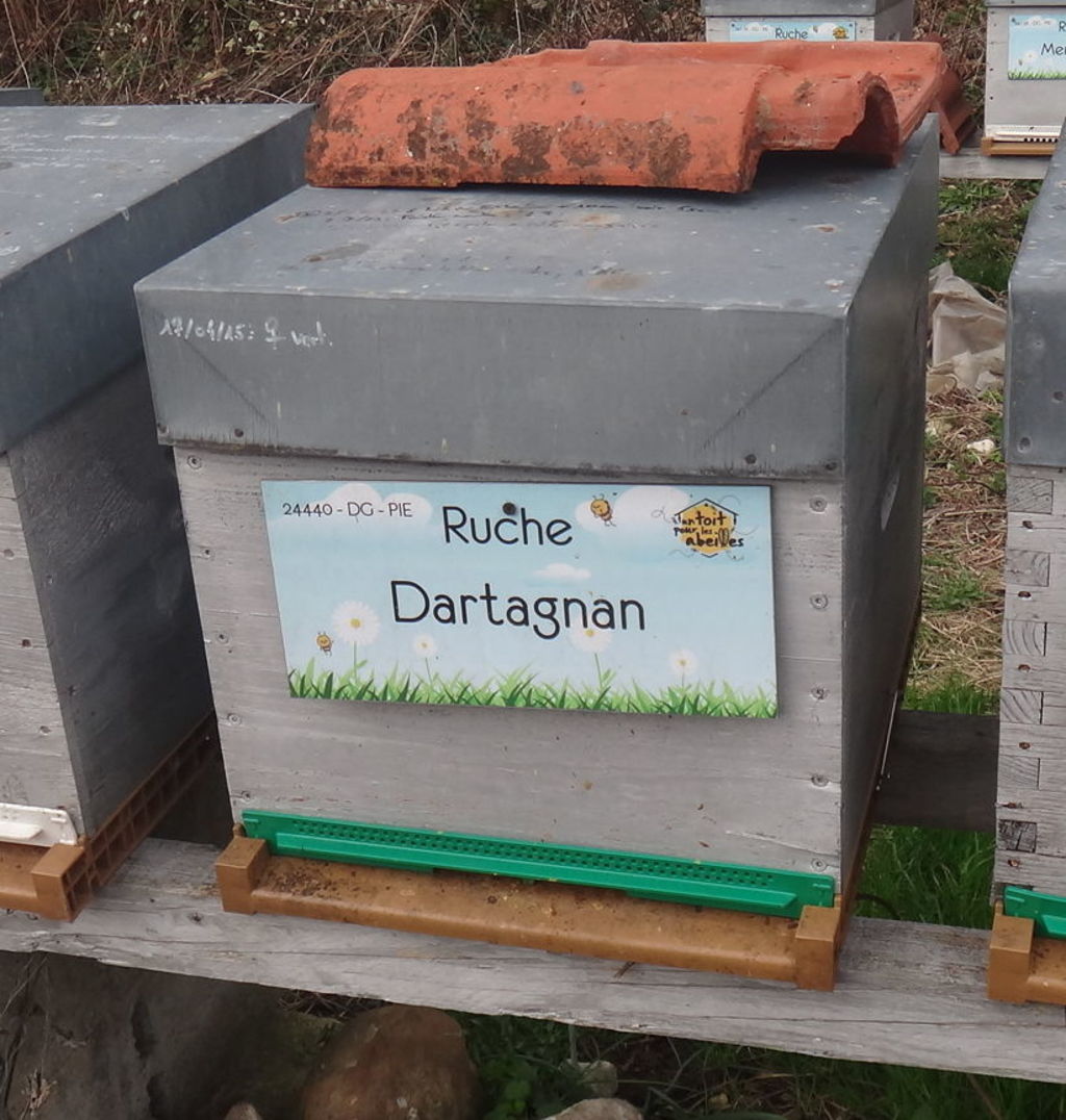 La ruche Dartagnan